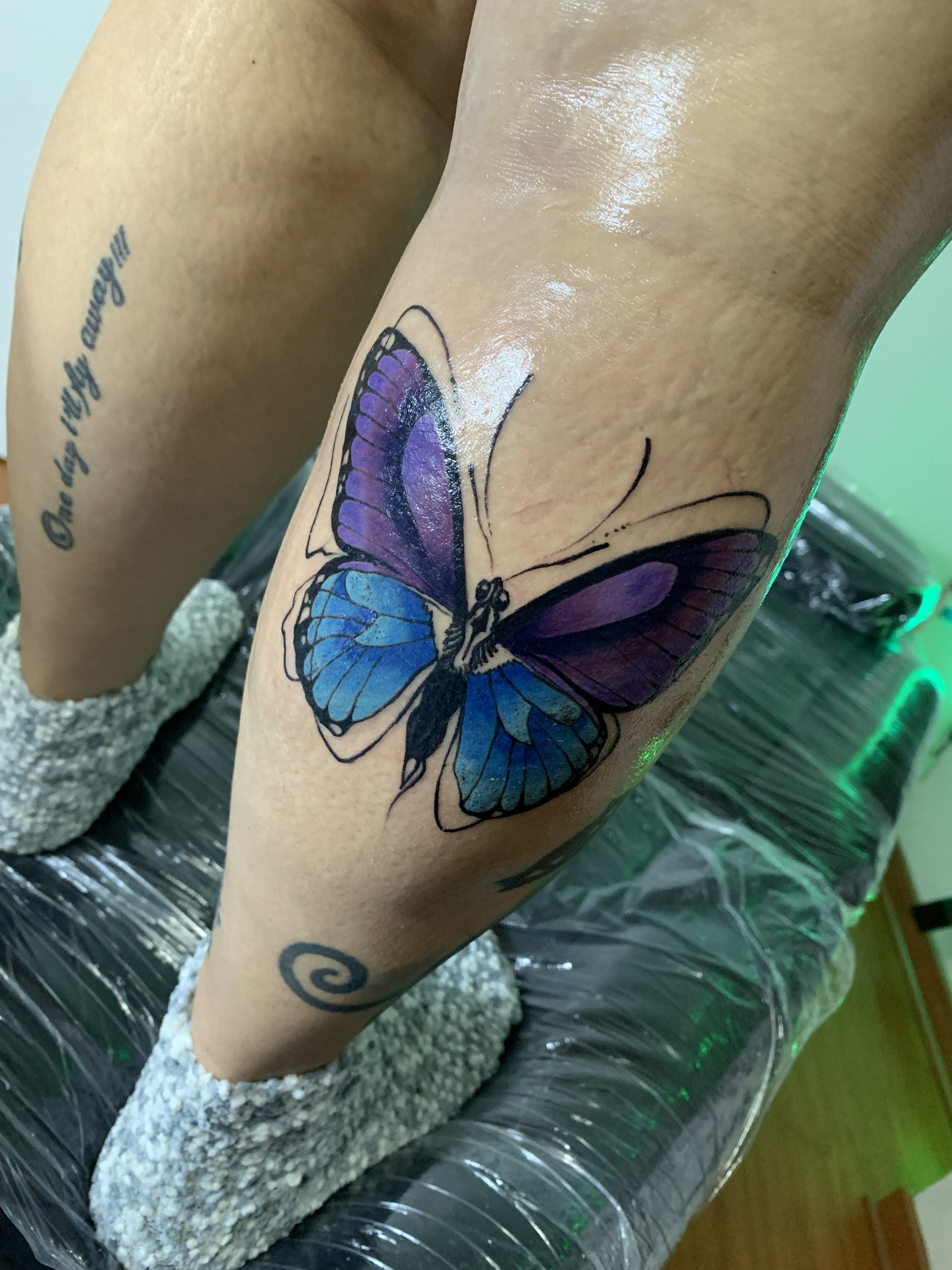 Animales 18
